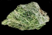 picture of Green Spider Web Slate Rock 50 lb Box                                                                .